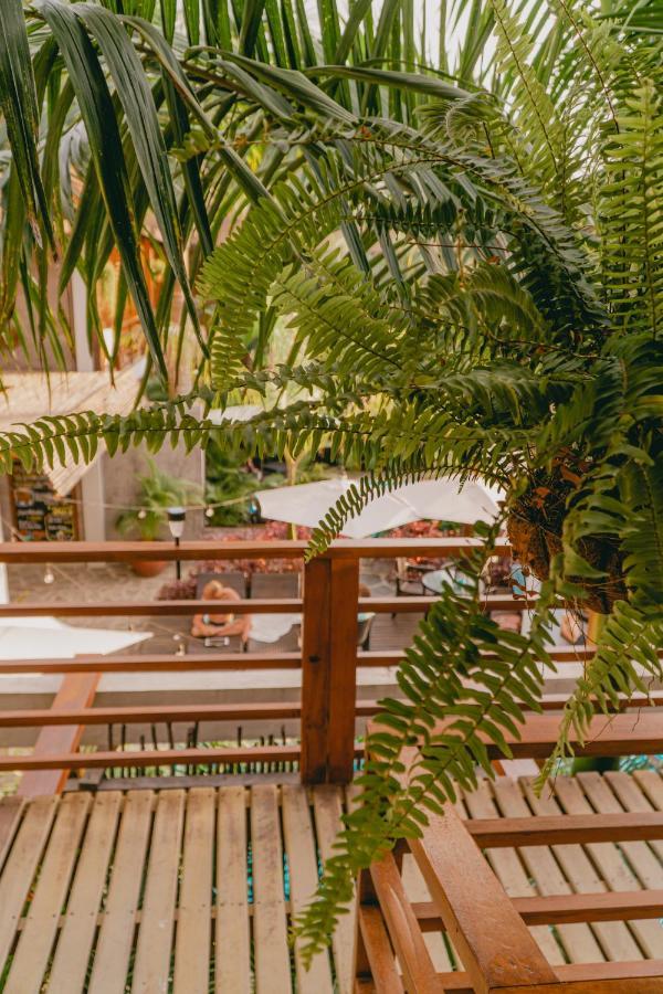 Villa Eden Паломино Екстериор снимка